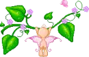 baby faery
