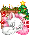 cute cat