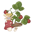 strawberry pixie