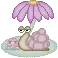 purple snail