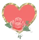 Pink Rose Hw=eart