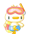 Swim Chick