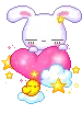 cute rabbit