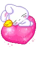 cute rabbit
