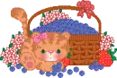 Cute Kitty
