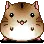 cute hamster