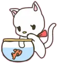 Cat catch fish