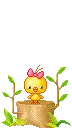 cute little chicken