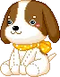 cute puppy