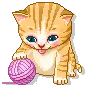 cute kitty