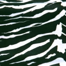zebra stripes