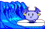 surfing kao anis