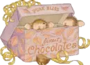 chocolates