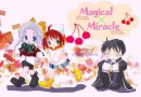 magical x miracle