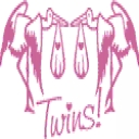 Twins
