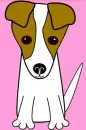 Jack Russell
