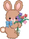 Cute Rabbit