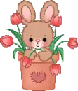 Cute Rabbit with flowers