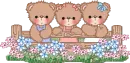 3 Bear Friends