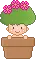 baby cactus