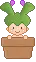 baby cactus