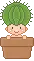 baby cactus