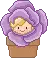 baby flower