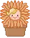 baby flower