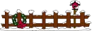 bird house