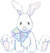 cute bunny