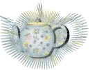 tea pot