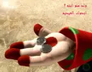 arab