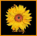 Beautiful Day