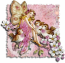 butterfly faery