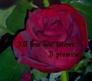 Love You Forever