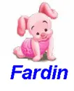 Fardin