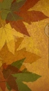 Fall Leaves