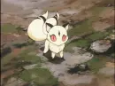kirara