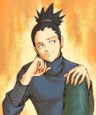 Shika