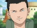 Shika