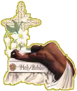 holy bible