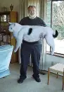 Huge Cat