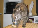 Glass of Water Too Small