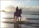 Ride on the Beach