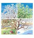 4 seasons