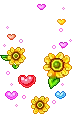 pretty flowers