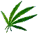 Weed