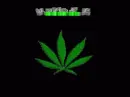 Weed