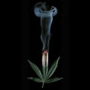 Weed