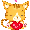 sweet kitty